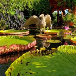 Jardín Botánico: Día Privado de Flora y Fauna en Vallarta