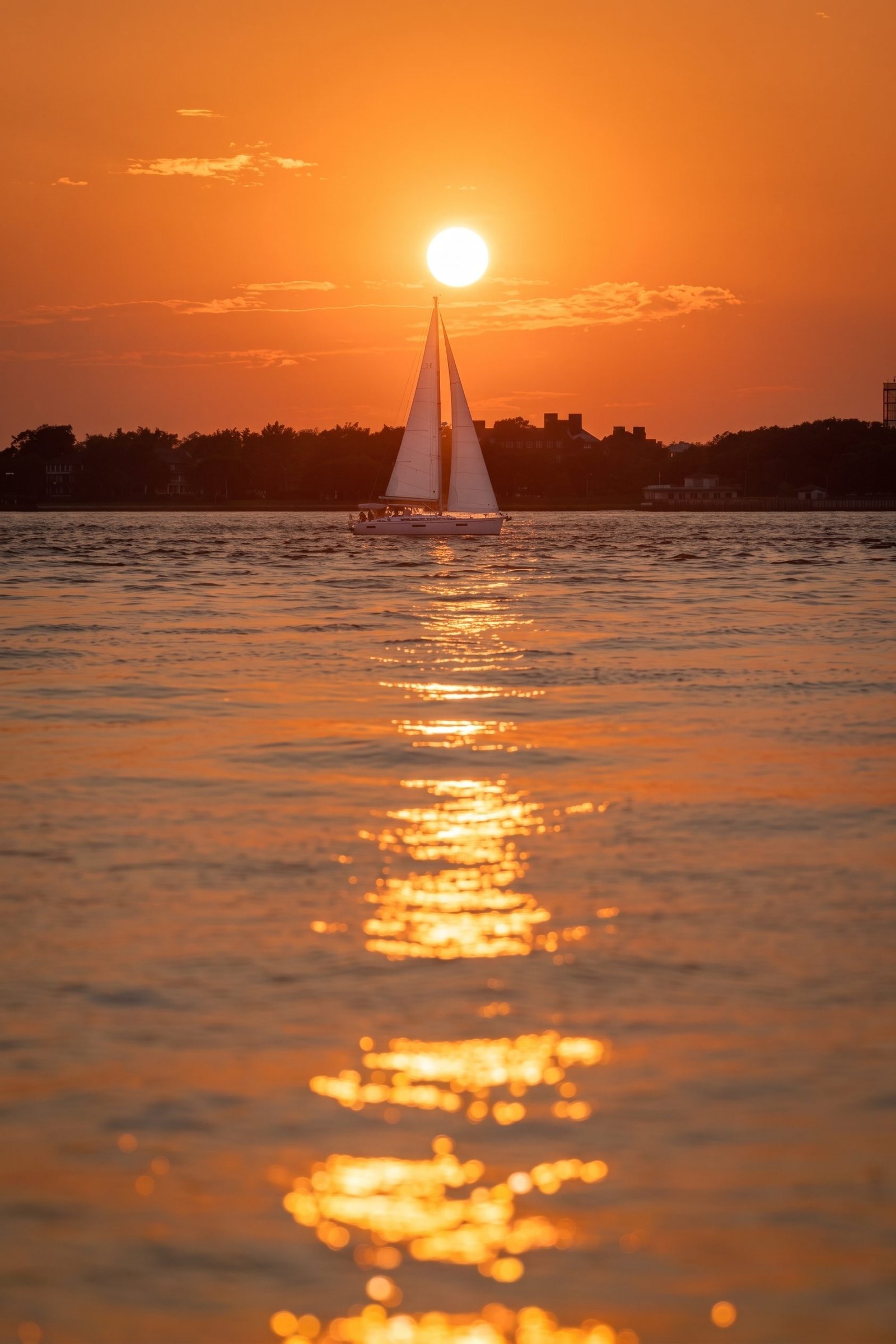Sunset Sail en Puerto Vallarta - Imagen 4