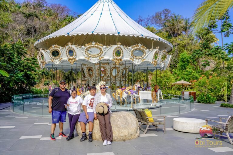 A carousel in the middle of the jungle