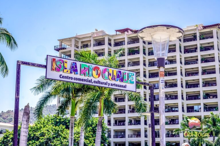 Isla Río Cuale, art and culture